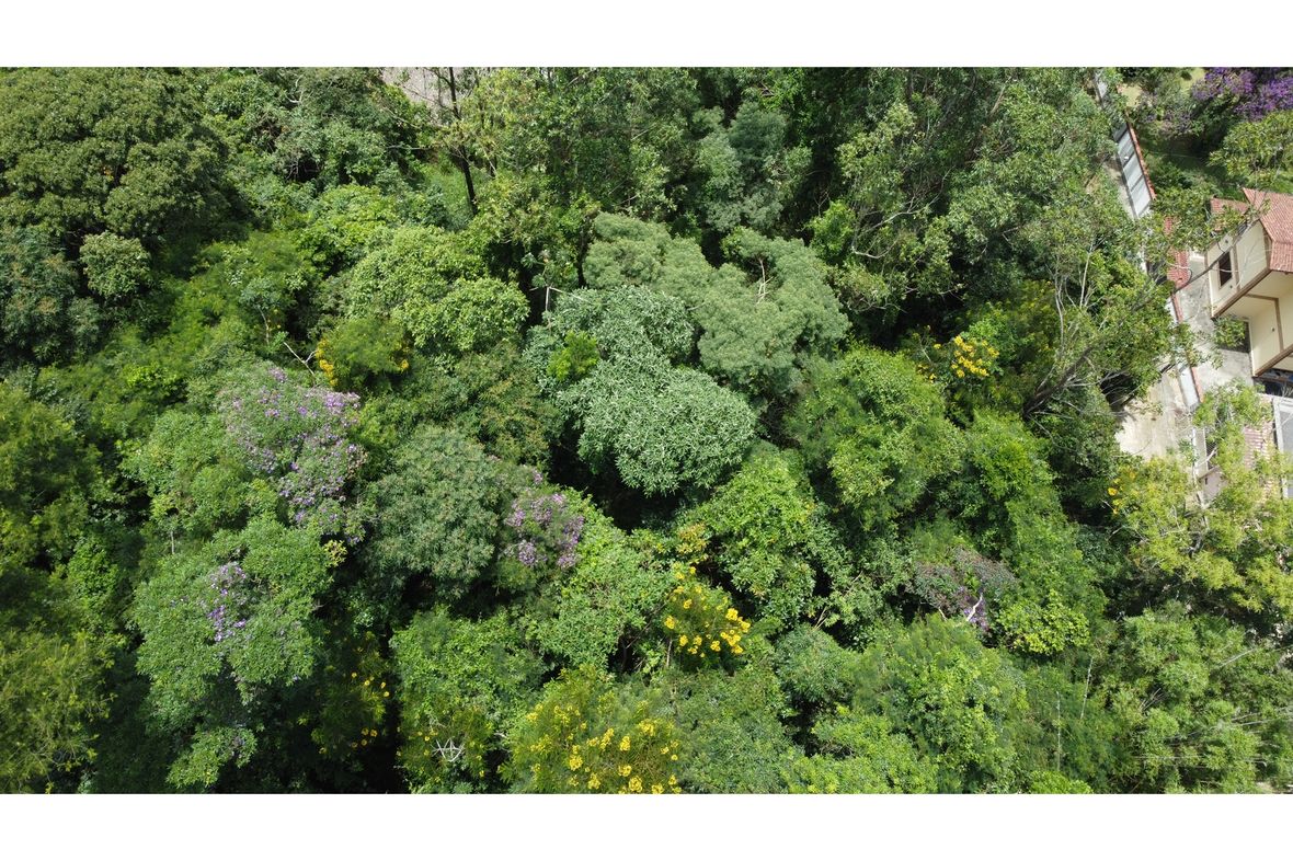 Property in Petropolis
