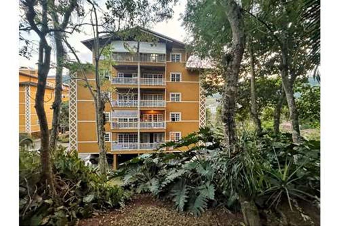 Property in Petropolis