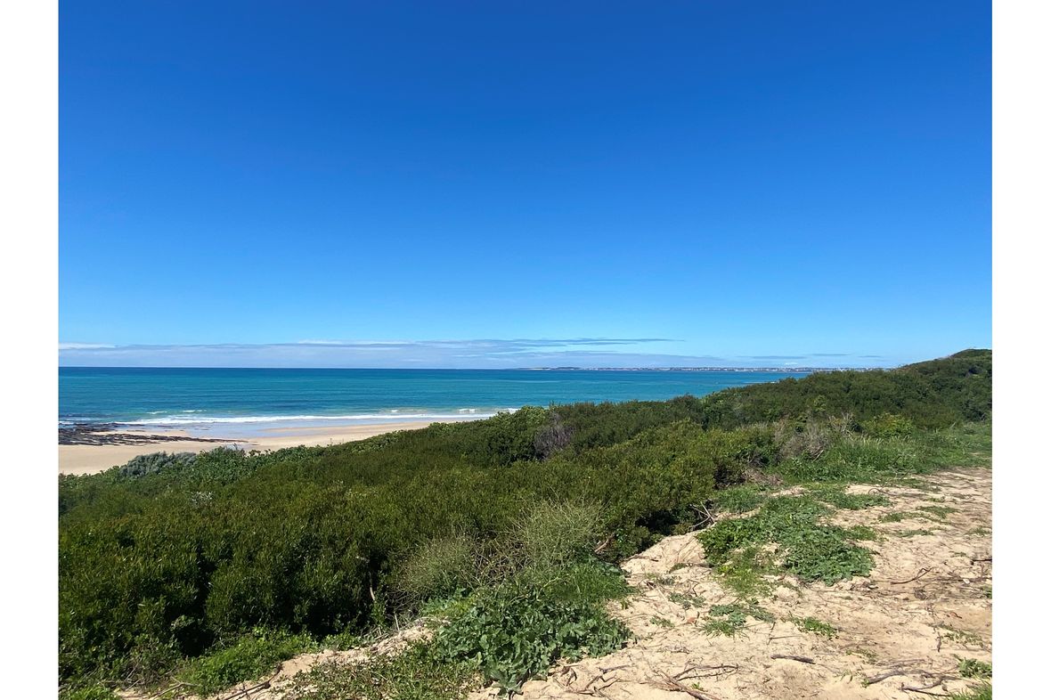 Property in Paradise Beach