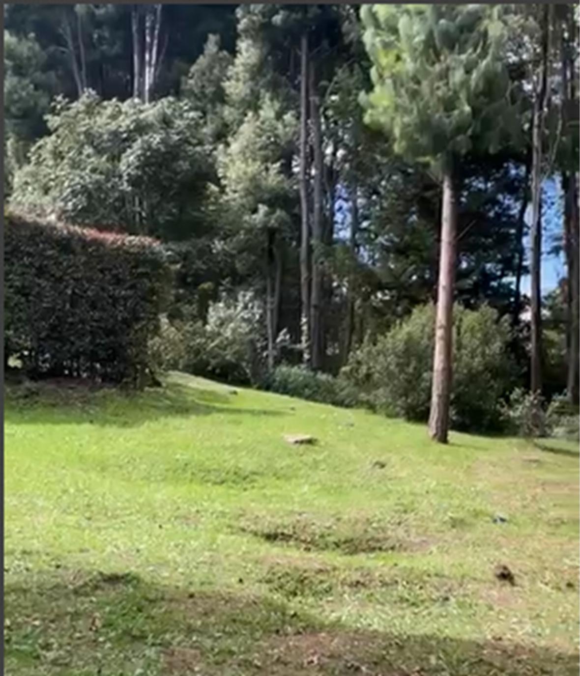 Property in Suba