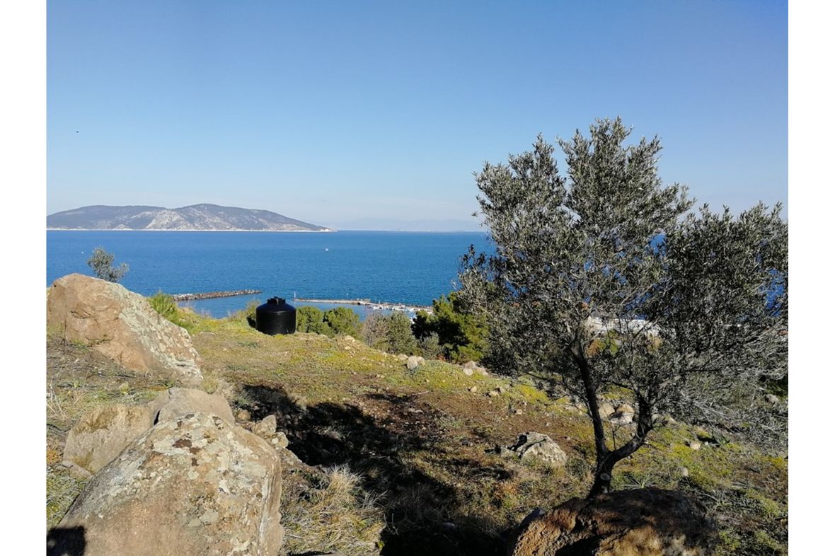 Property in Methana
