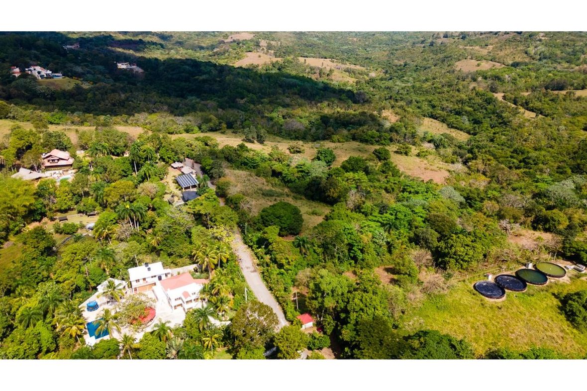 Property in Pedro Brand