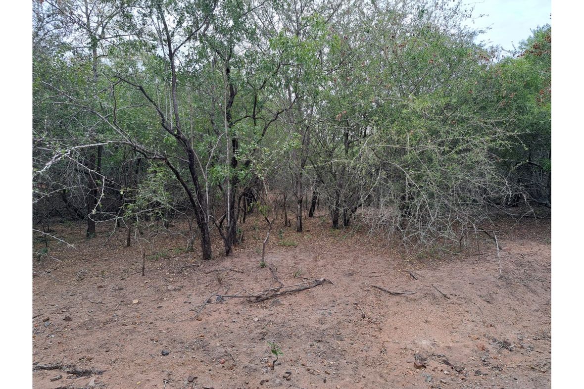 Property in Marloth Park