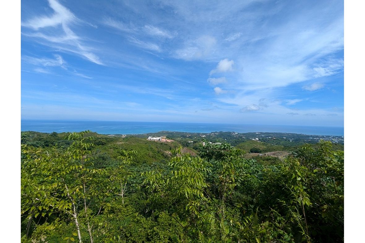 Property in Las Terrenas