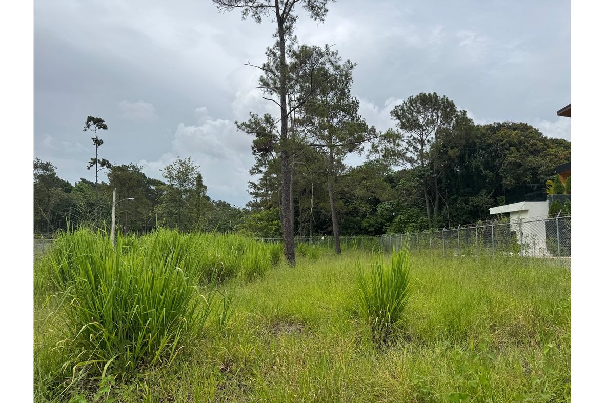 Property in Jarabacoa