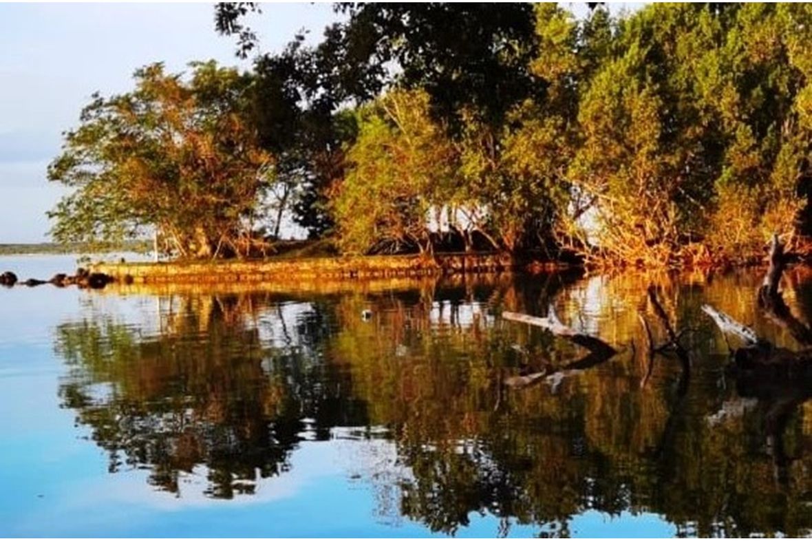 Property in Bacalar