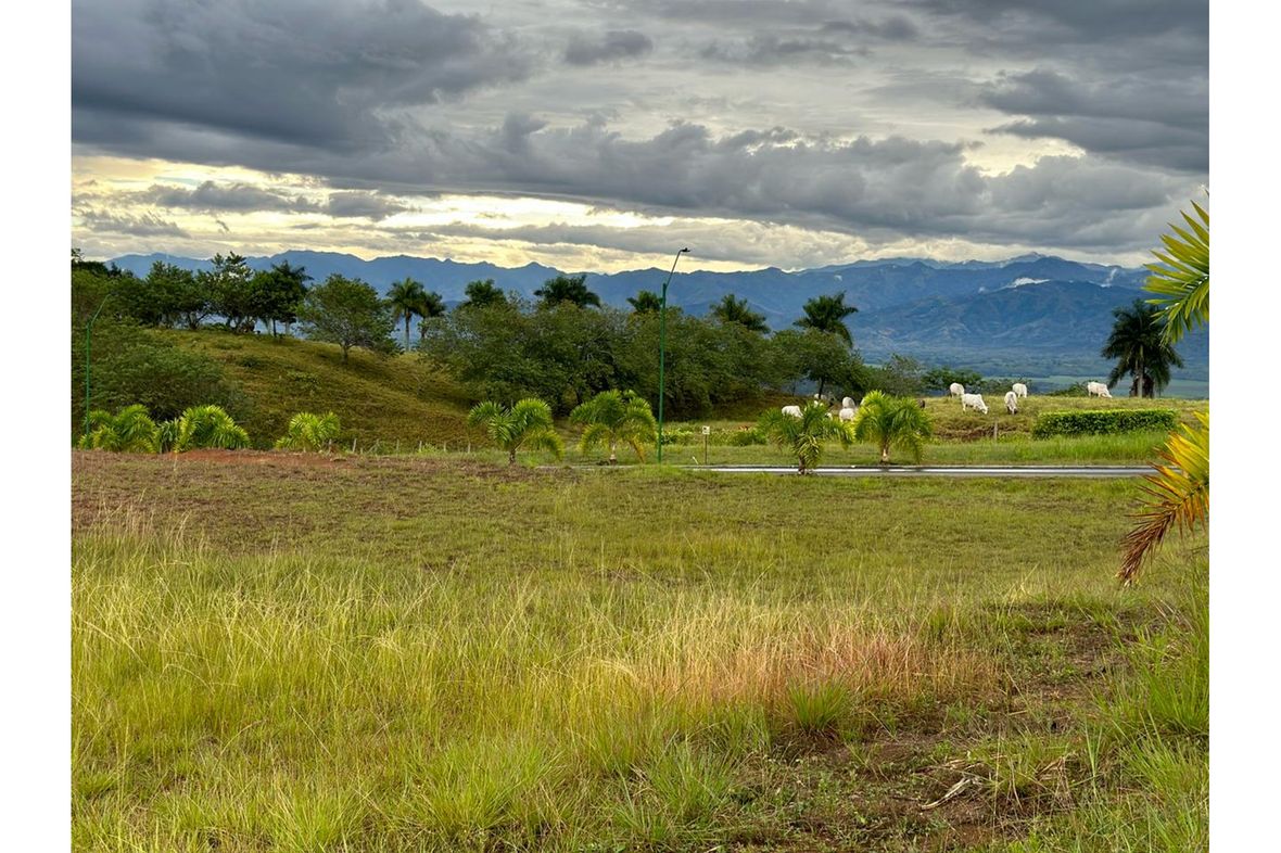 Property in Pereira