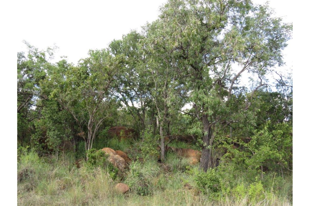 Bela Bela Bela Bela Rural, Limpopo