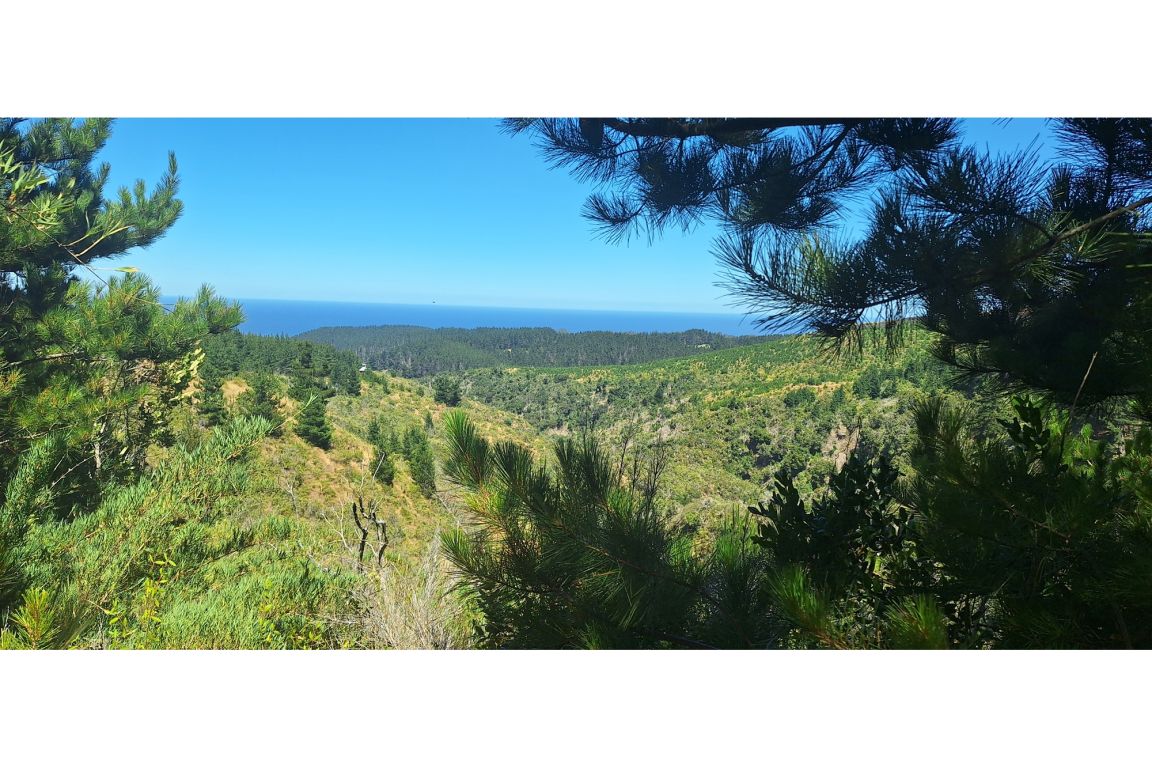 Property in Pichilemu