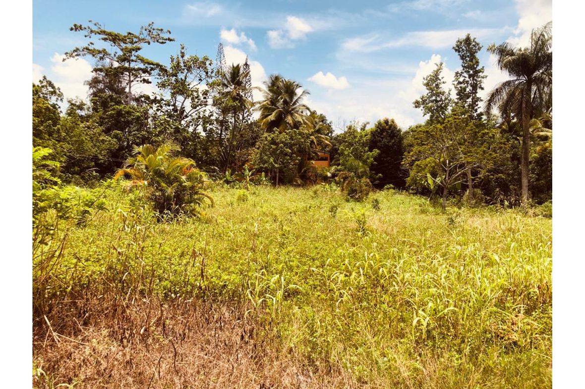 Property in Santo Domingo Norte