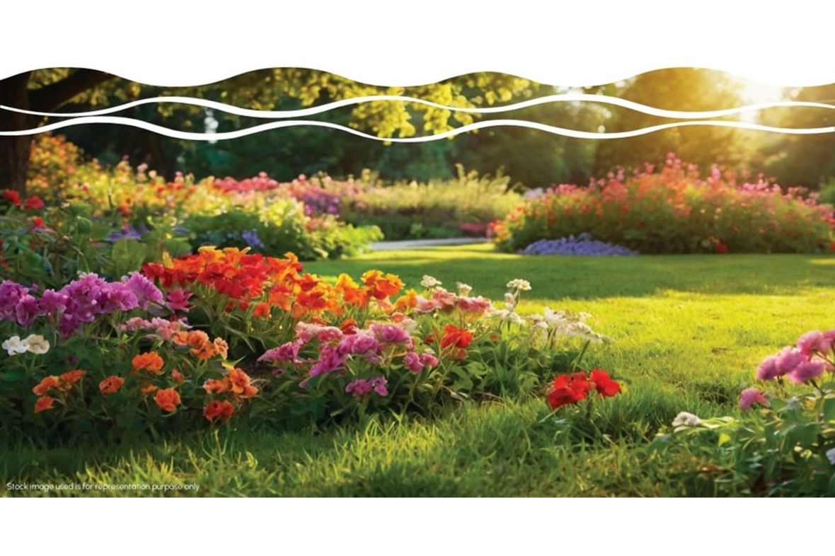 Property in Noida