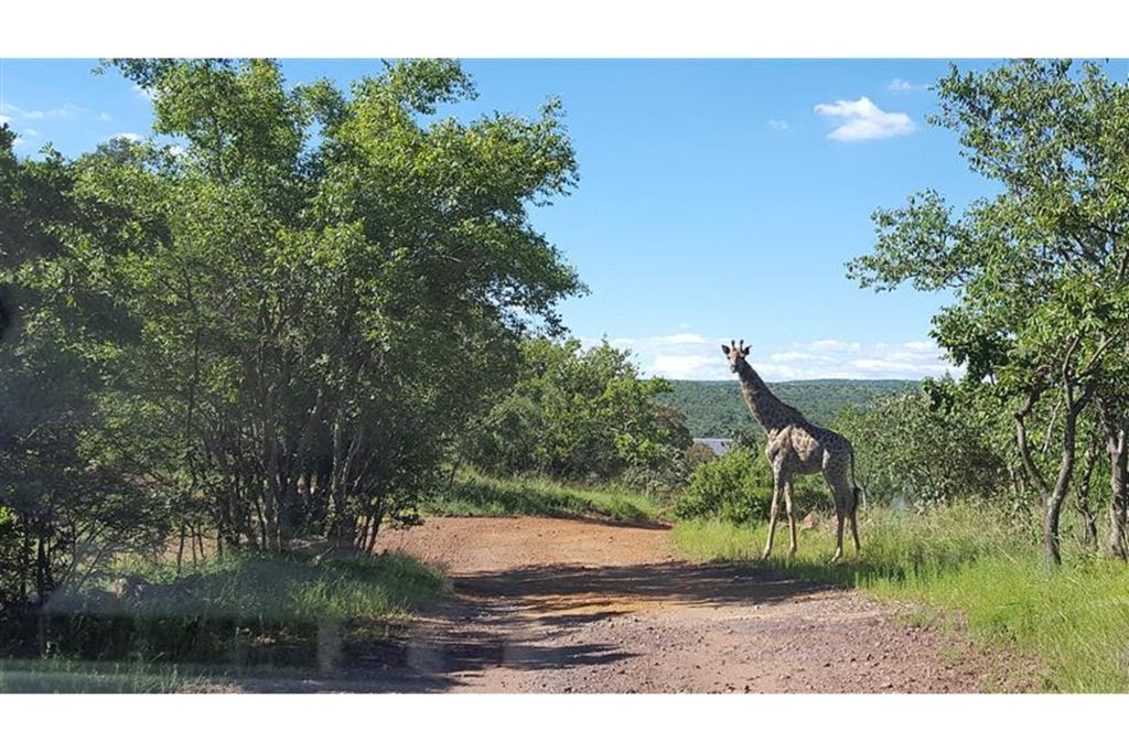 Bela Bela Bela Bela Rural, Limpopo