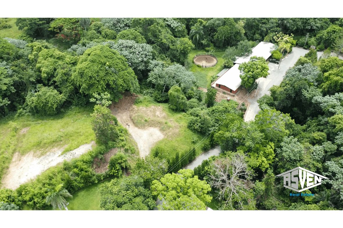 Property in Jarabacoa