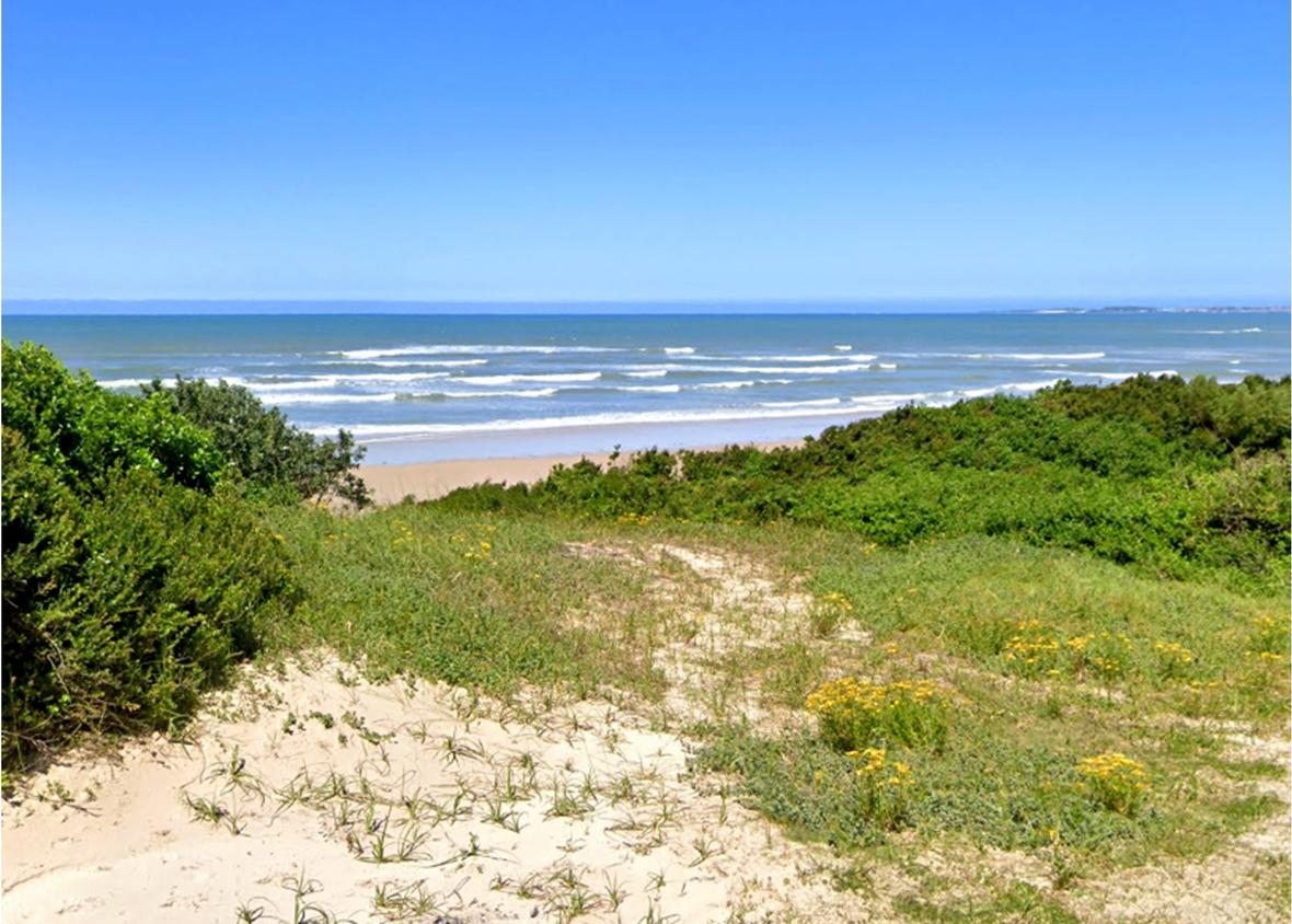 Property in Paradise Beach
