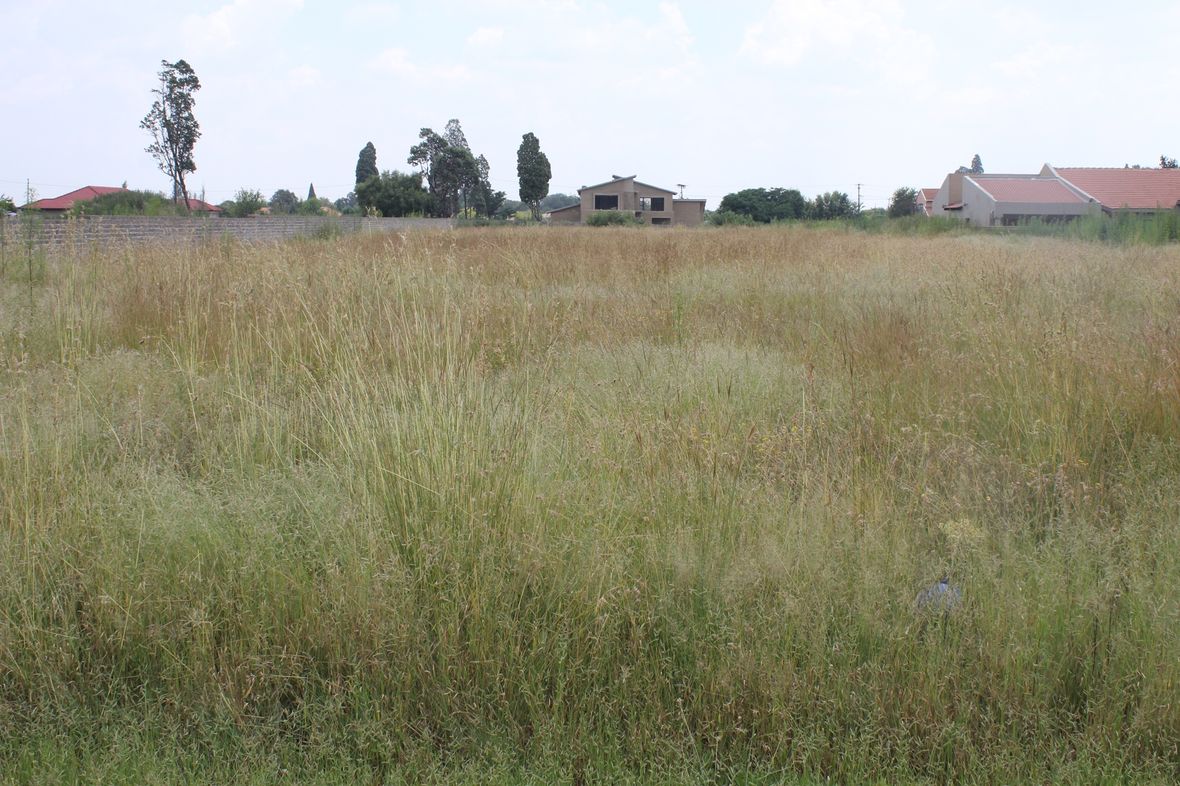 Property in Henley On Klip