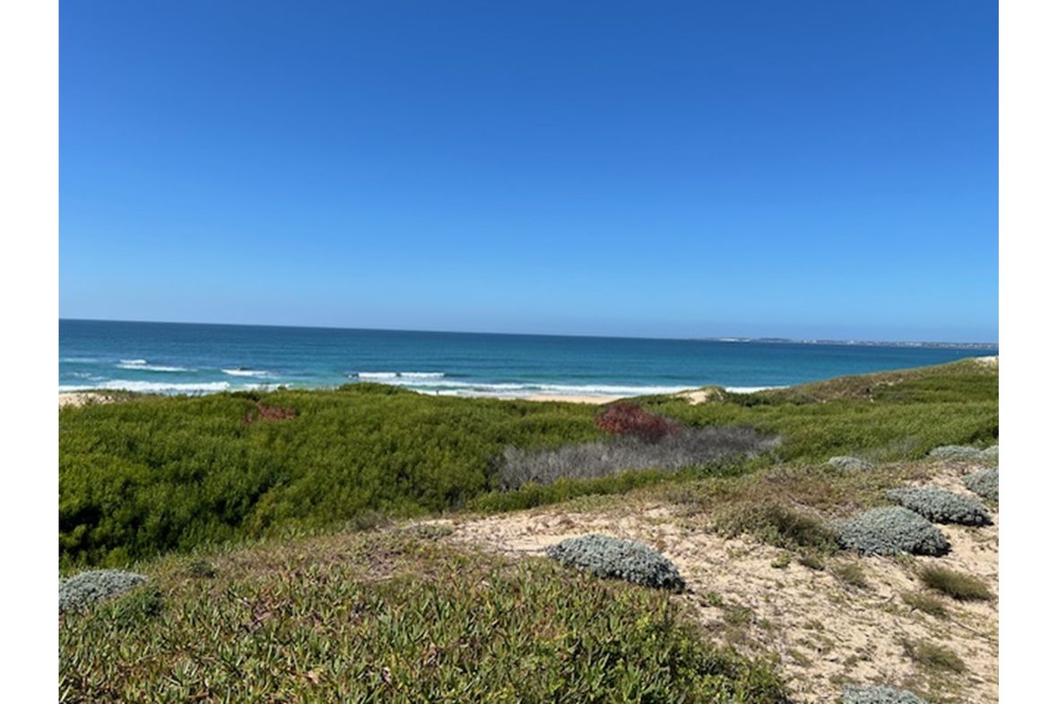Property in Paradise Beach