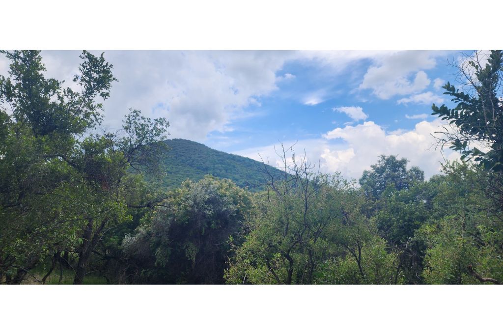 Bela Bela Bela Bela Rural, Limpopo