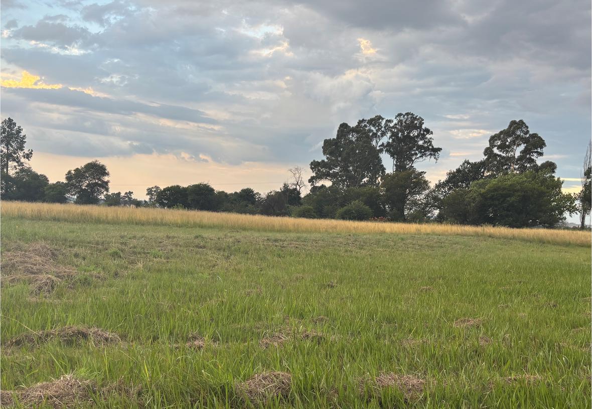 Property in Vaalpark