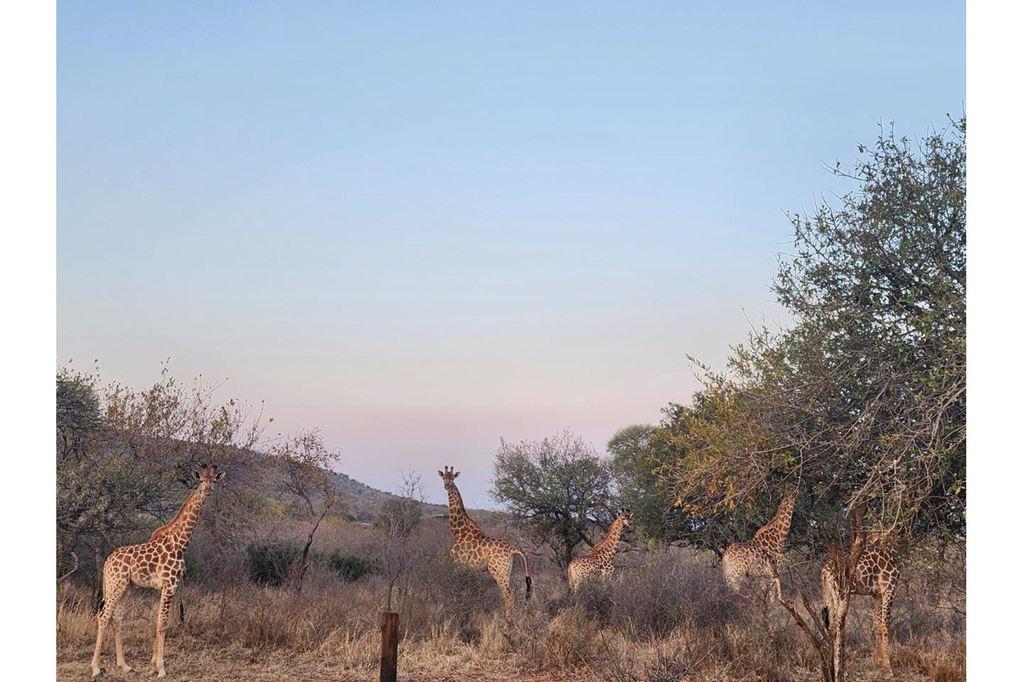 Bela Bela Bela Bela, Limpopo