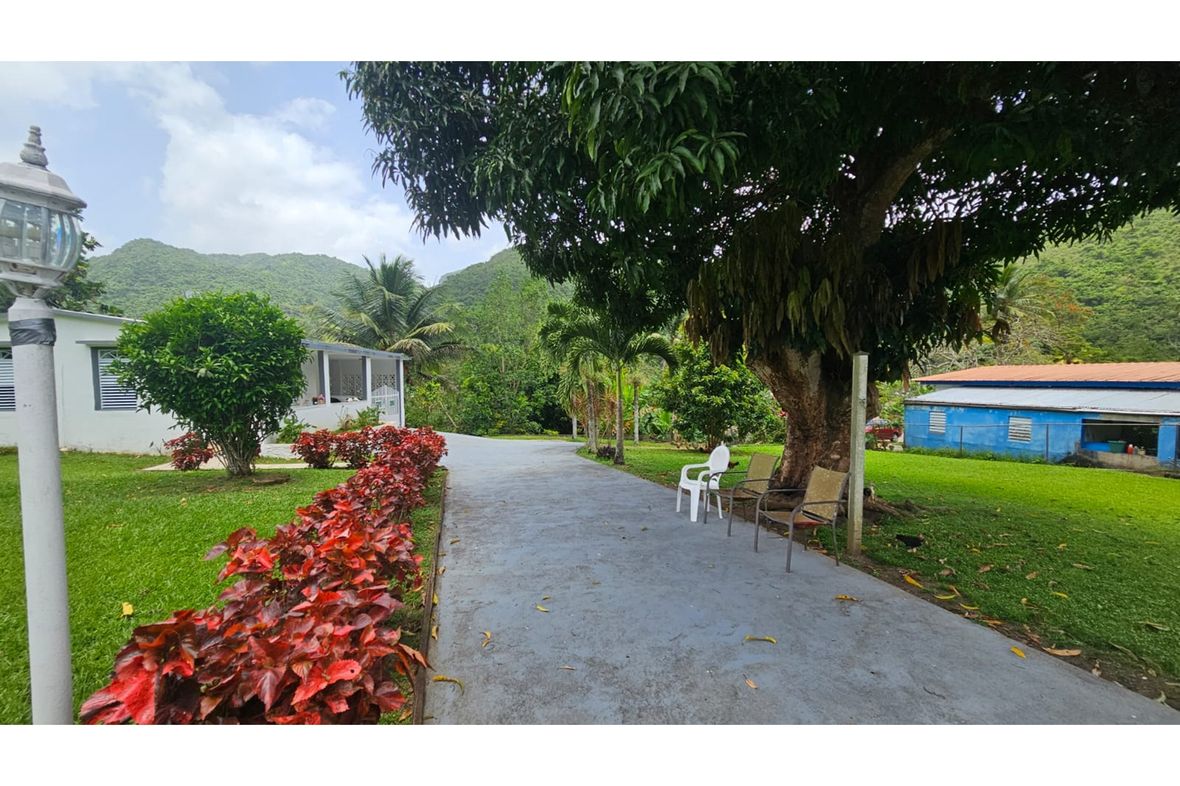 Property in Maton Abajo Ward