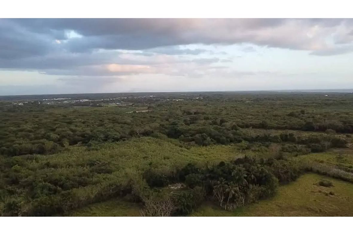 Property in Boca Chica