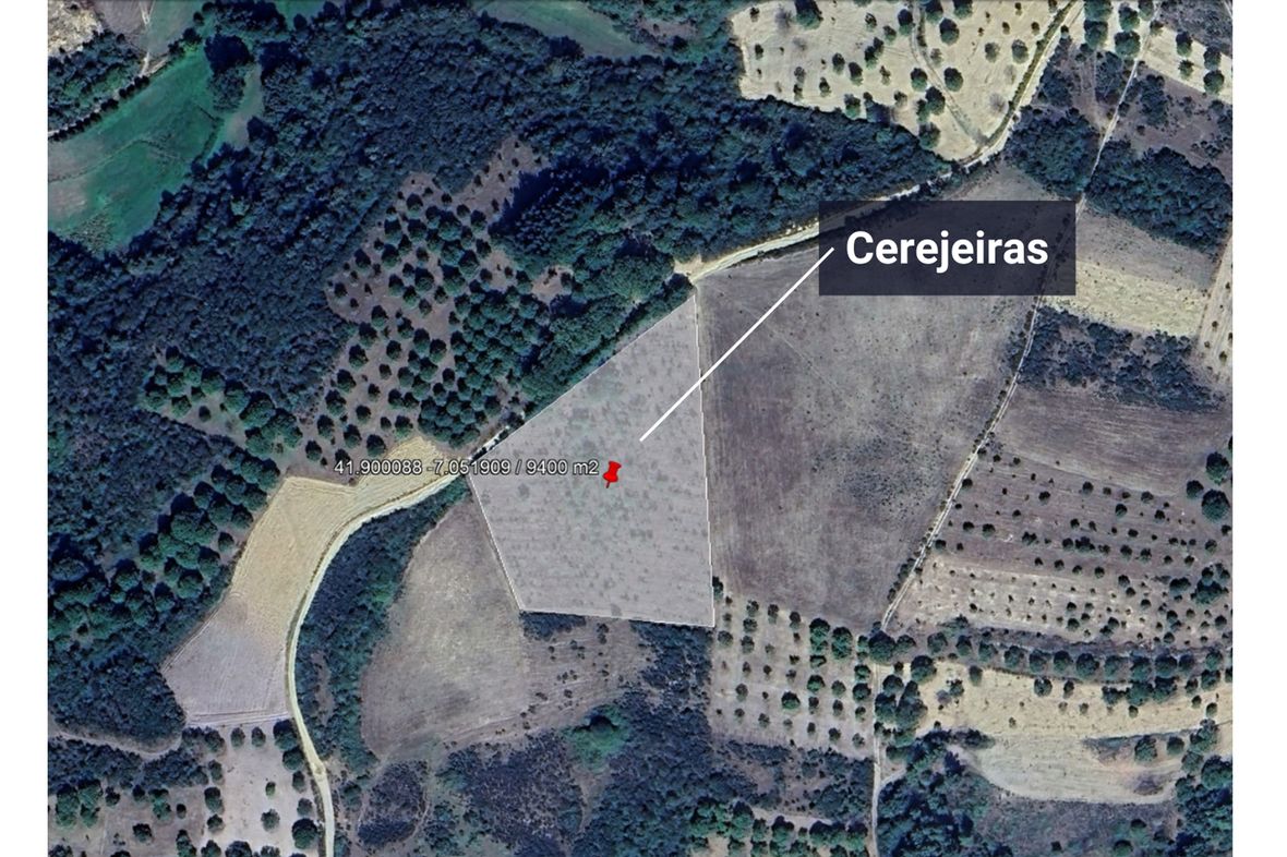 Property in Tuizelo