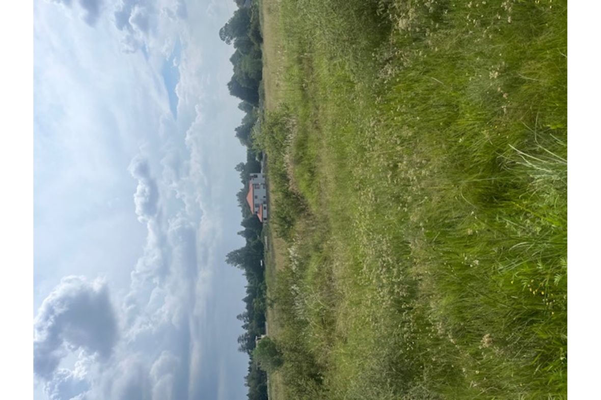 Property in Henley On Klip
