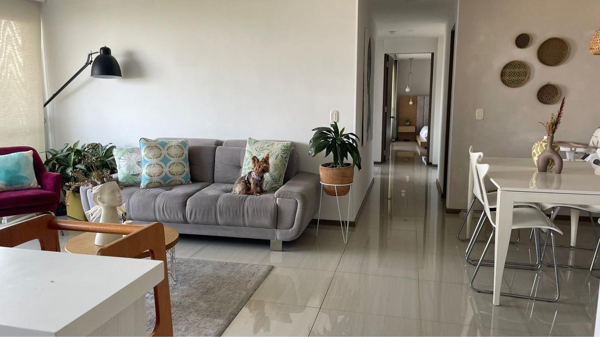 Property in Pereira