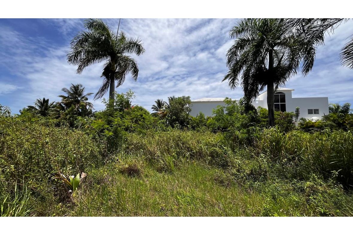 Property in Sosúa