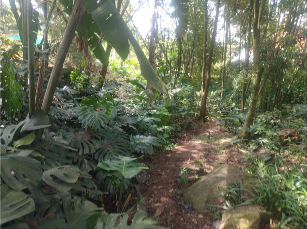 Property in Medellín