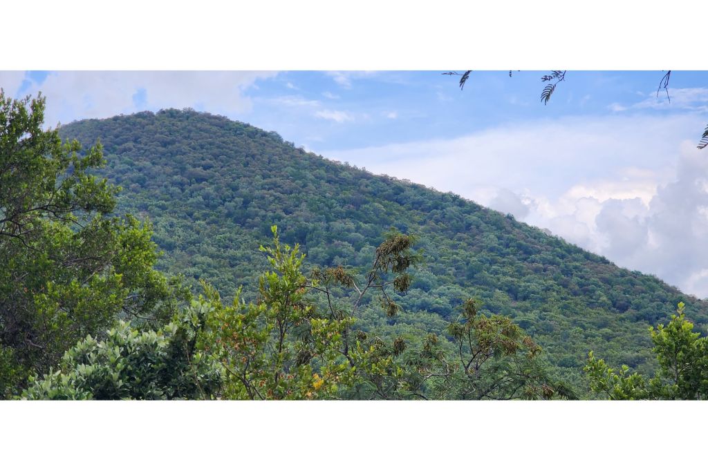 Bela Bela Bela Bela Rural, Limpopo