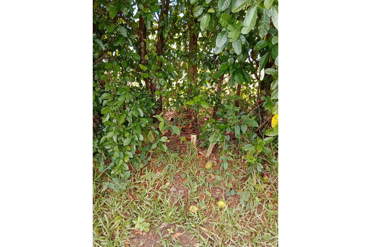 Property in Villavicencio
