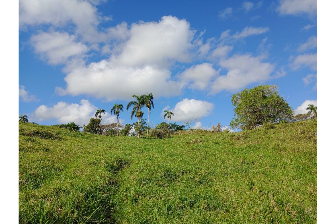 Property in Cabrera