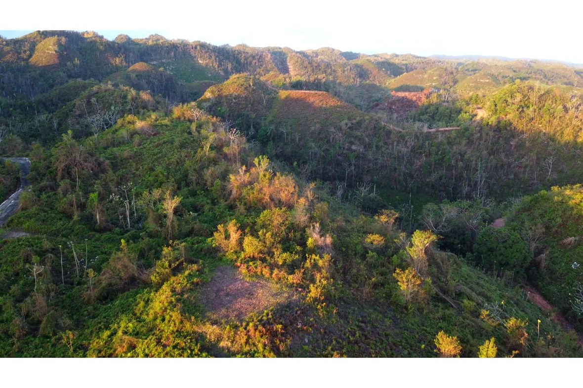Property in Las Terrenas