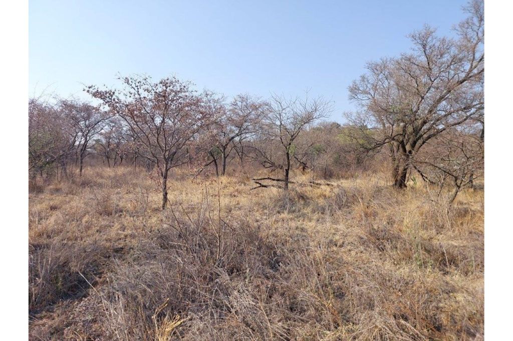 Bela Bela Bela Bela, Limpopo