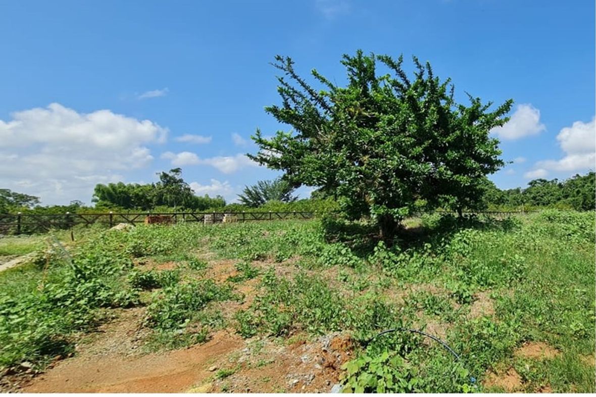Property in Jarabacoa