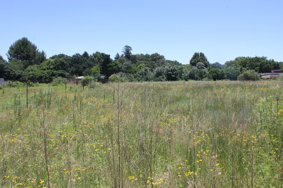 Property in Henley On Klip