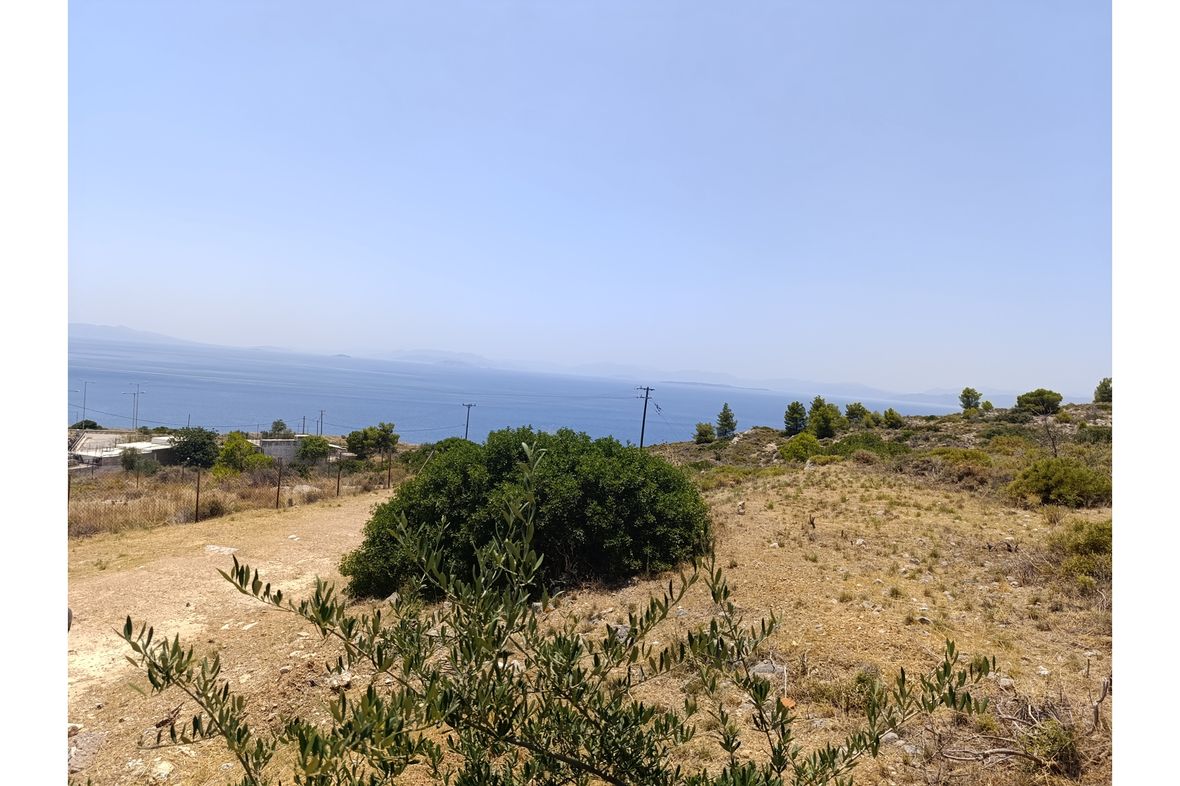 Property in Megareon