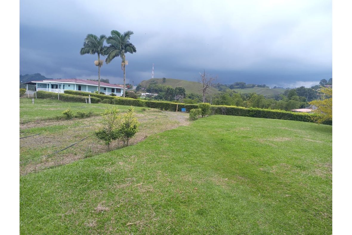 Property in Pereira