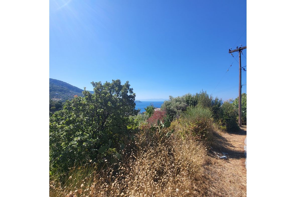 Property in Skopelos Island