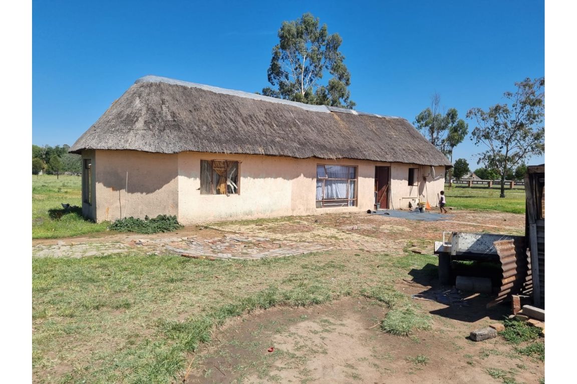 Springs Endicott, Gauteng