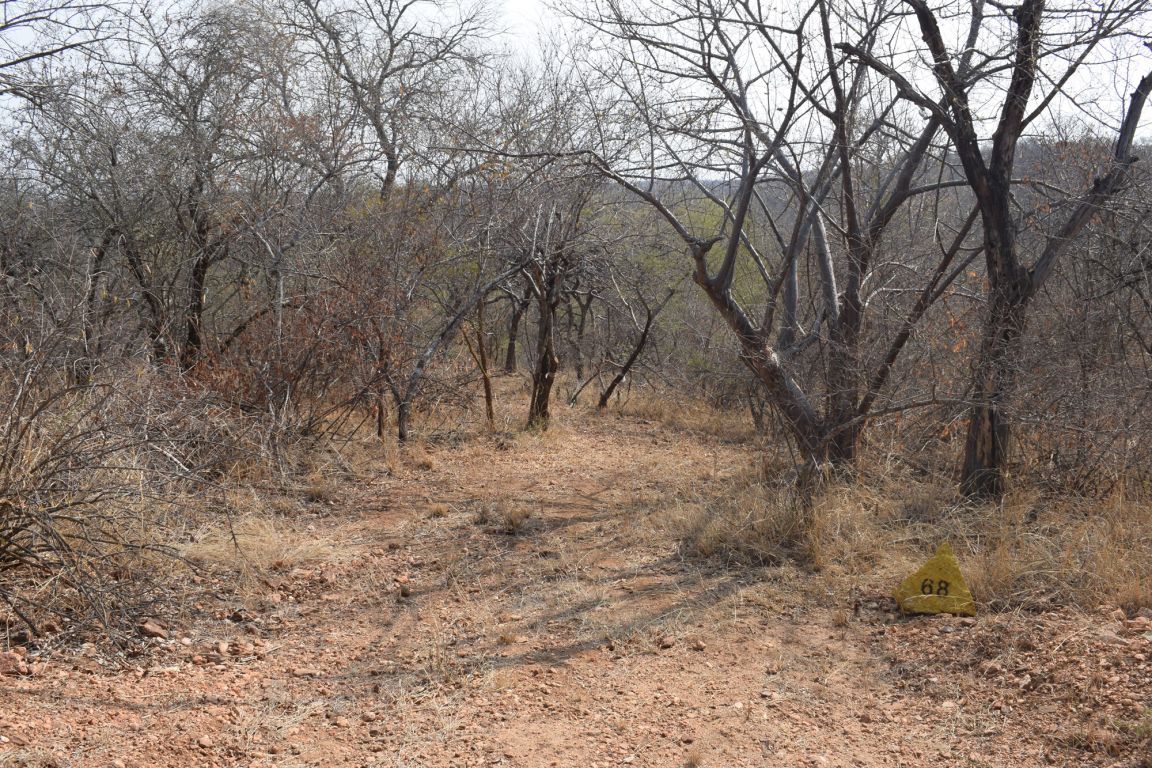 Hoedspruit Elephant Rock Eco Estate, Limpopo
