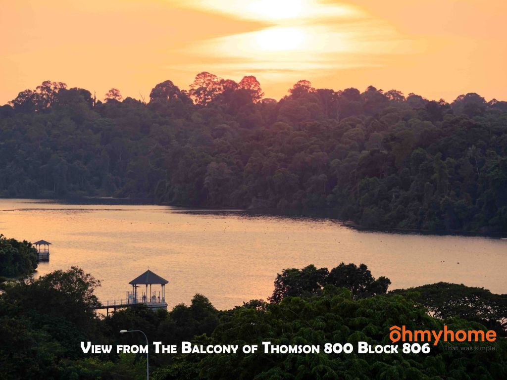 Thomson 800